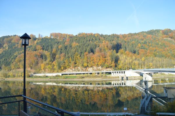Herbst_Moya
